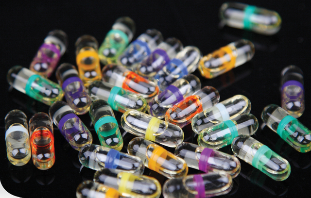 Máquina de llenado de cápsulas de aceite NJYF-300C In-Cap 0